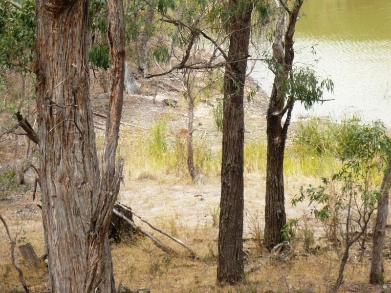 Lot 1 Government Road, Beaufort VIC 3373