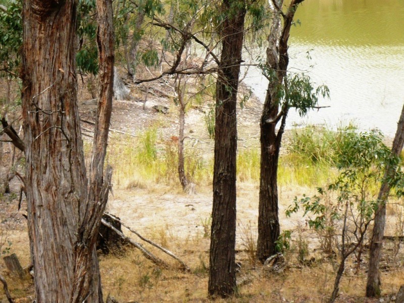 Lot 1 Government Road, Beaufort VIC 3373