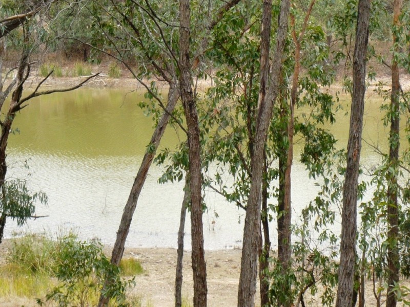 Lot 1 Government Road, Beaufort VIC 3373