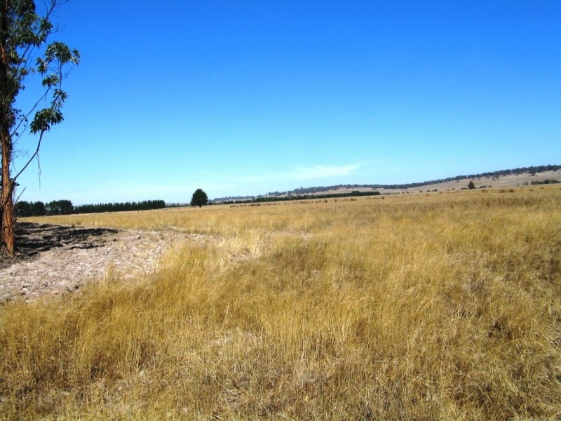 459 Mount Emu Creek Road, Langi Kal Kal VIC 3373