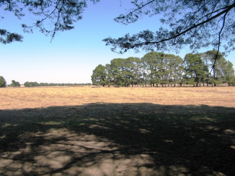 459 Mount Emu Creek Road, Langi Kal Kal VIC 3373