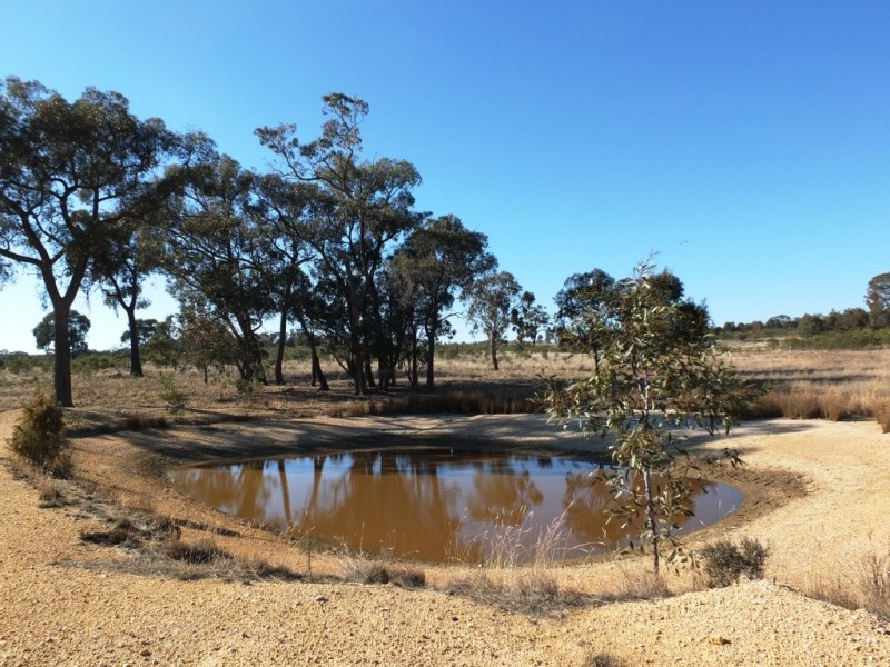 229 Barrys Road, Lamplough VIC 3352