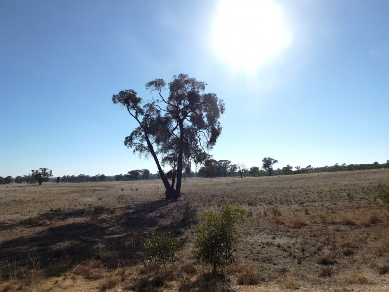 229 Barrys Road, Lamplough VIC 3352