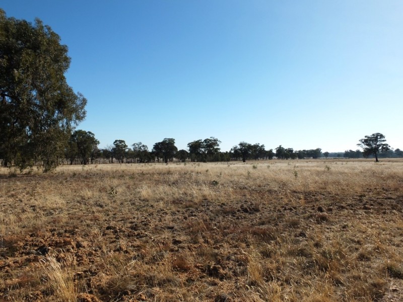 229 Barrys Road, Lamplough VIC 3352