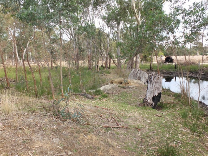 CA 37 Irvins Lane, Amphitheatre VIC 3468