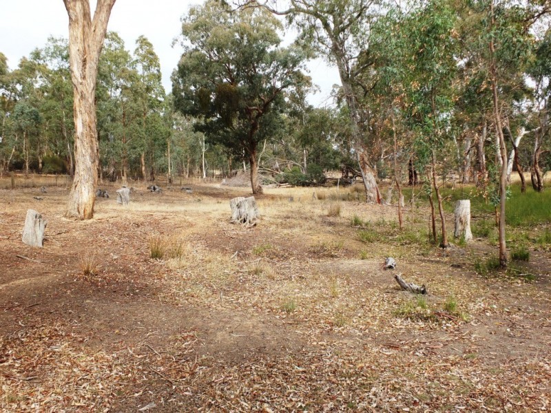 CA 37 Irvins Lane, Amphitheatre VIC 3468