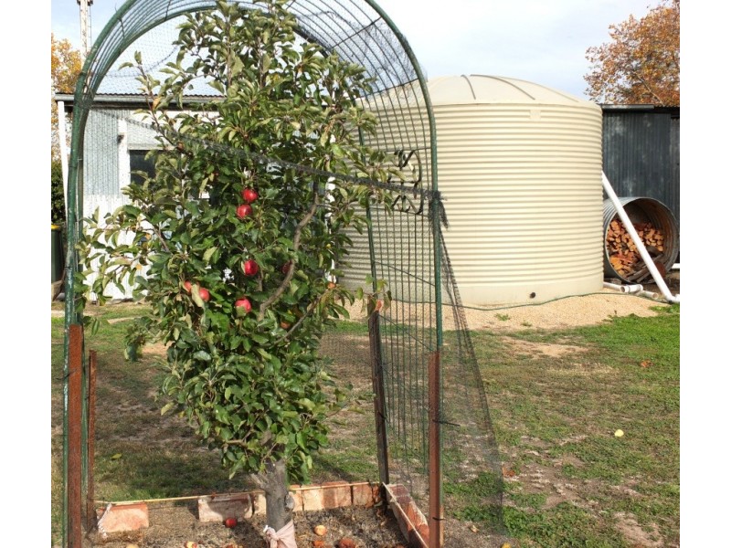 58 Bailey Street, Amphitheatre VIC 3468