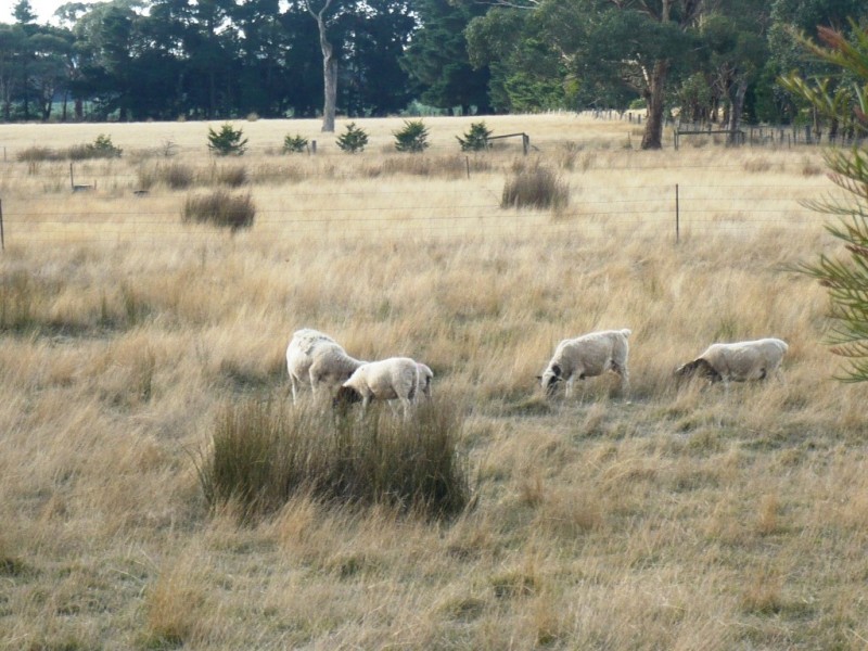 48 Rotten Lane, Lal Lal VIC 3352