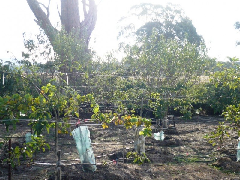 48 Rotten Lane, Lal Lal VIC 3352