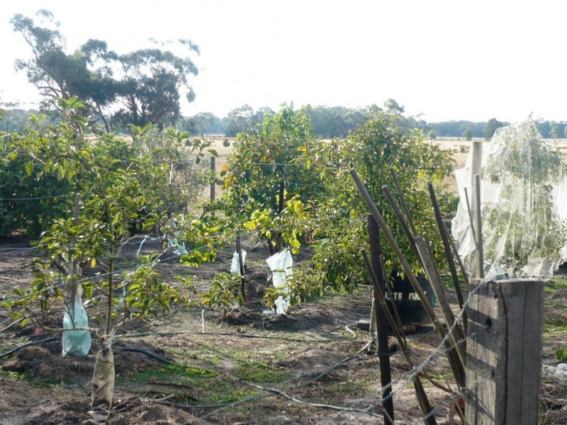 48 Rotten Lane, Lal Lal VIC 3352