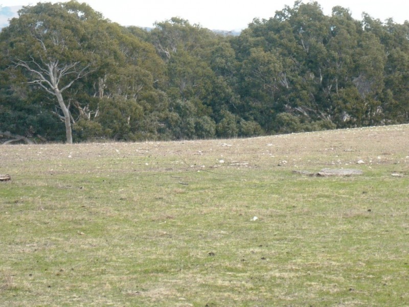 1896 Blackbottom Road, Lexton VIC 3352