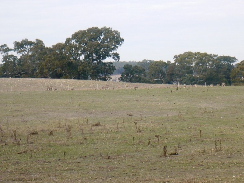 1896 Blackbottom Road, Lexton VIC 3352