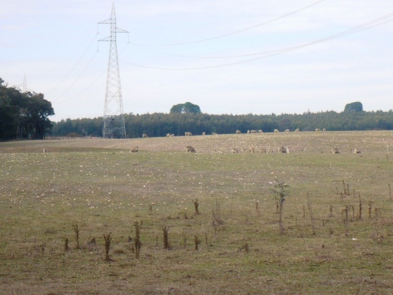 1896 Blackbottom Road, Lexton VIC 3352