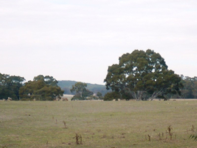 1896 Blackbottom Road, Lexton VIC 3352