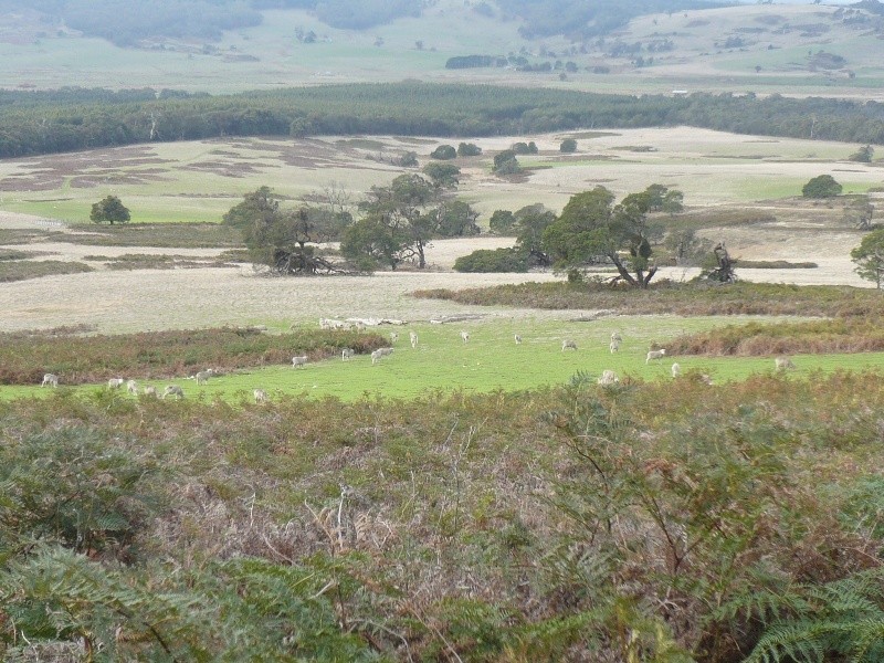 - Ditchfields Road, Raglan VIC 3373