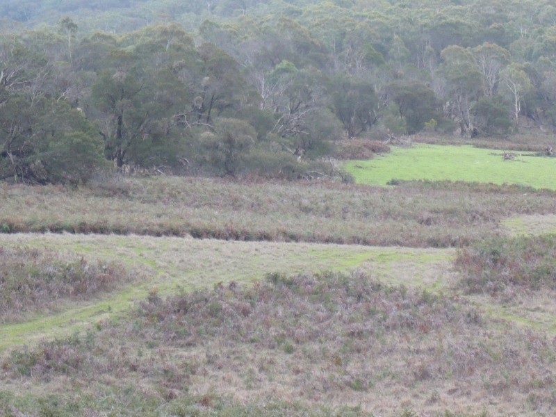 - Ditchfields Road, Raglan VIC 3373