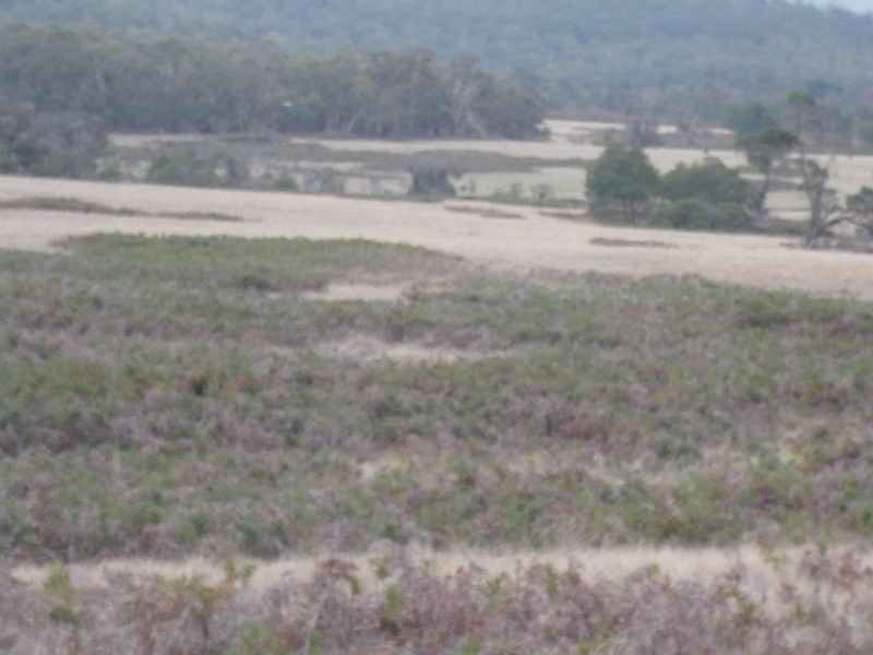 - Ditchfields Road, Raglan VIC 3373