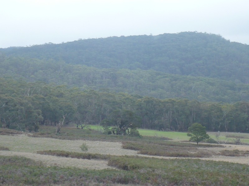 - Ditchfields Road, Raglan VIC 3373