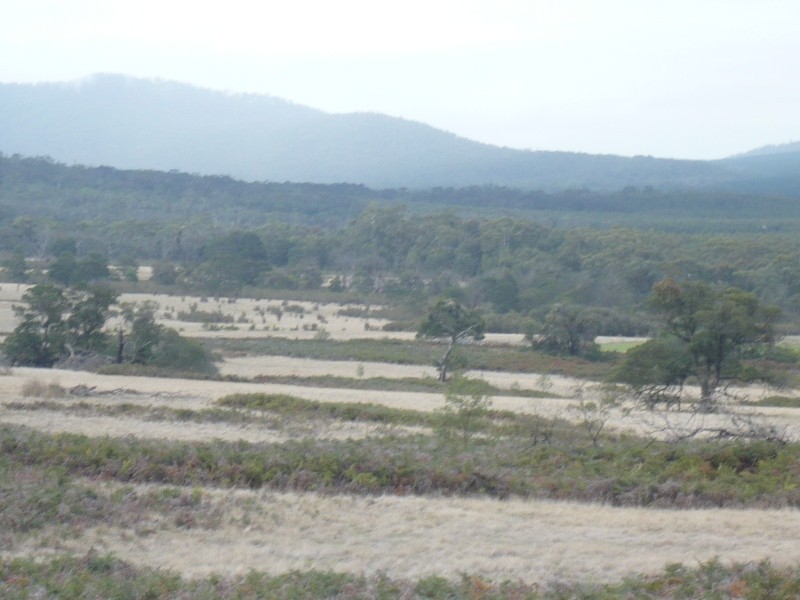 - Ditchfields Road, Raglan VIC 3373