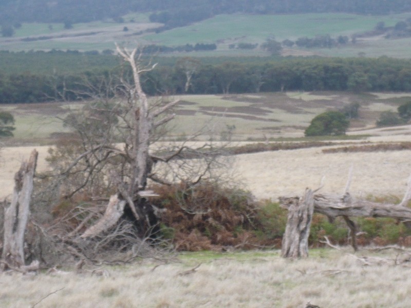 - Ditchfields Road, Raglan VIC 3373