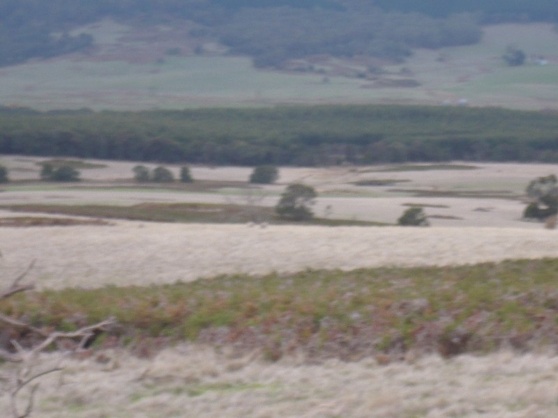 - Ditchfields Road, Raglan VIC 3373