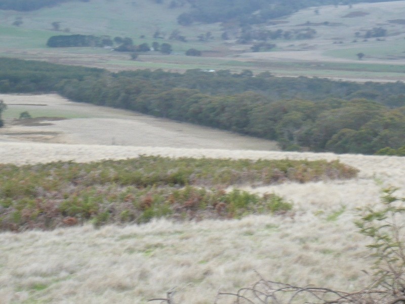 - Ditchfields Road, Raglan VIC 3373