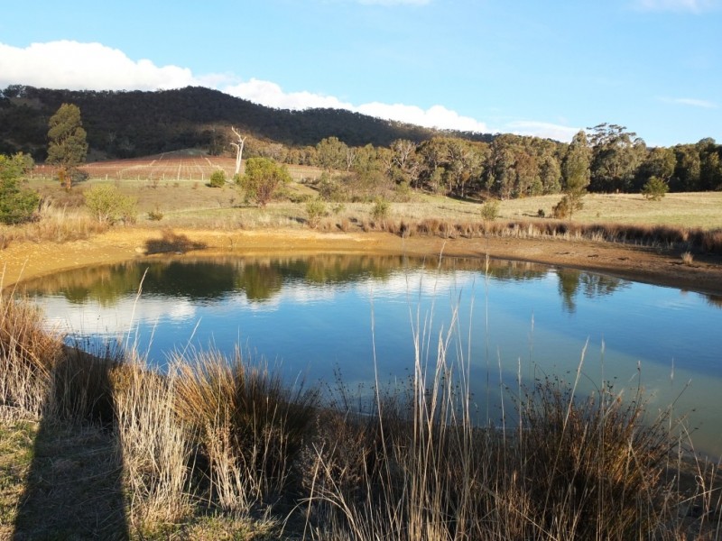 29 Stringybark Lane, Percydale VIC 3478