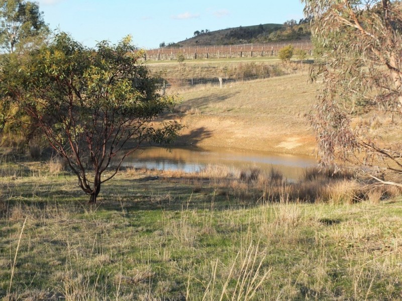 29 Stringybark Lane, Percydale VIC 3478