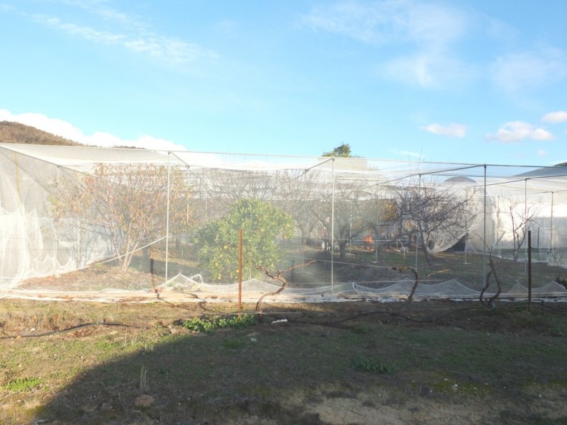 29 Stringybark Lane, Percydale VIC 3478