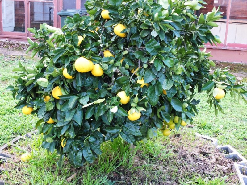 29 Stringybark Lane, Percydale VIC 3478