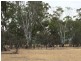 Lot 99 Number One Creek Road, Avoca VIC 3467
