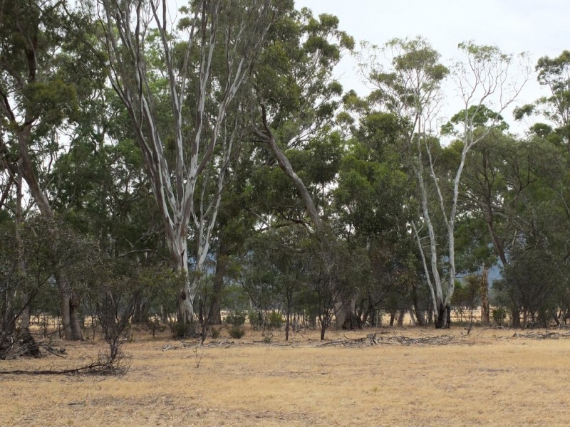 Lot 99 Number One Creek Road, Avoca VIC 3467