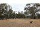 Lot 99 Number One Creek Road, Avoca VIC 3467