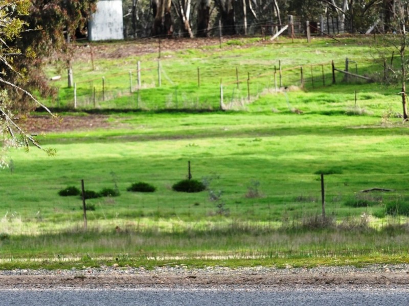 52(Lot 14,15) Napier Street, Avoca VIC 3467