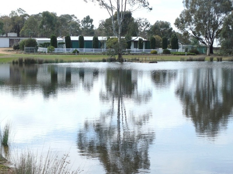 504 Stuart Mill Road, Dunolly VIC 3472