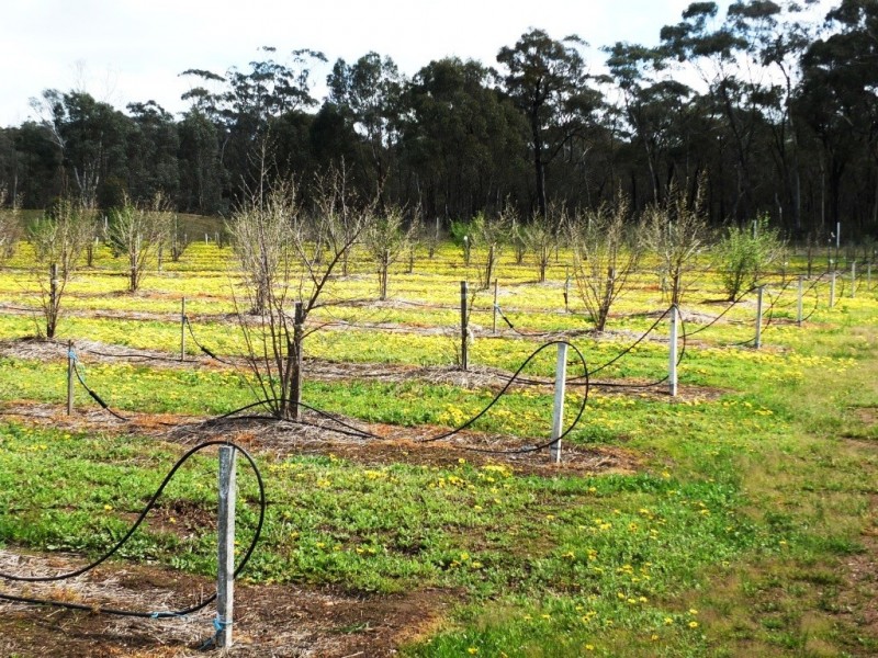 504 Stuart Mill Road, Dunolly VIC 3472