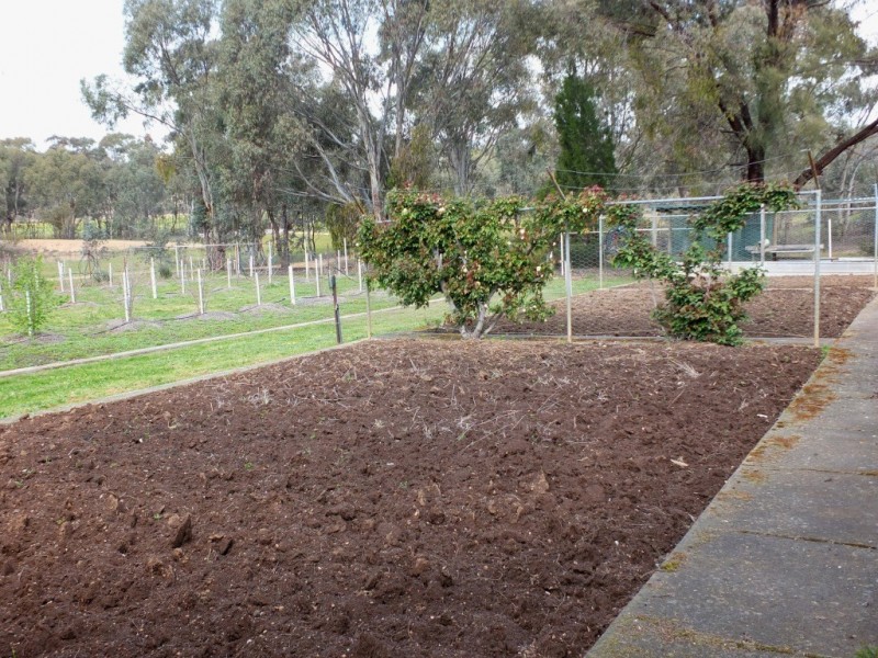 504 Stuart Mill Road, Dunolly VIC 3472