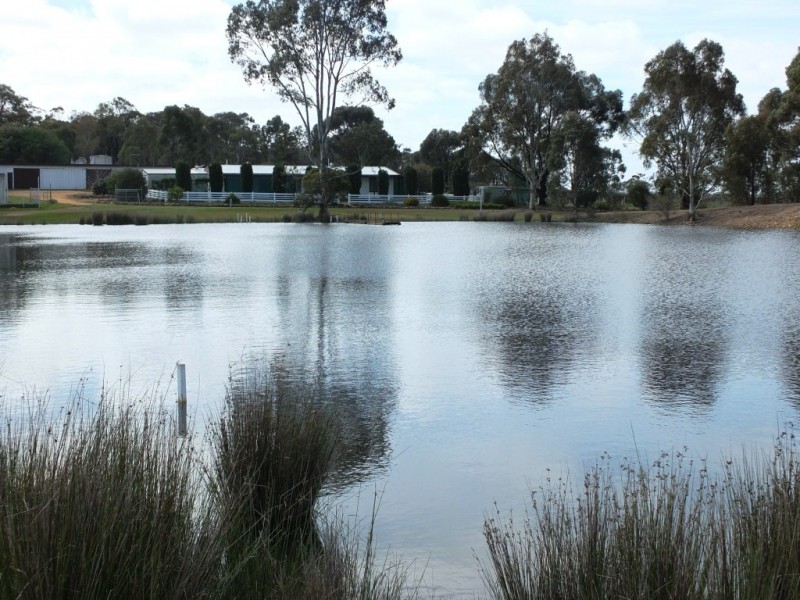 504 Stuart Mill Road, Dunolly VIC 3472