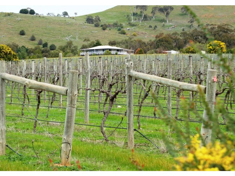 105 Riflebutts Road, Landsborough VIC 3384