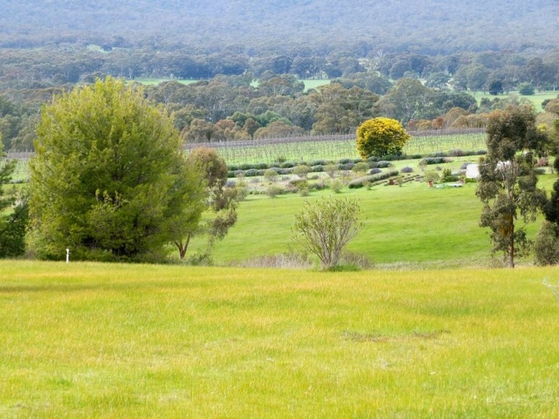 105 Riflebutts Road, Landsborough VIC 3384