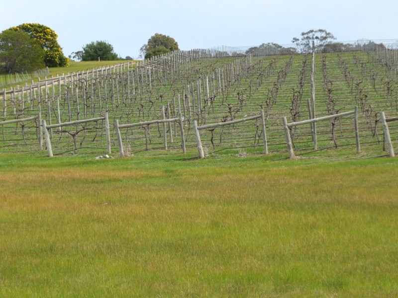 105 Riflebutts Road, Landsborough VIC 3384