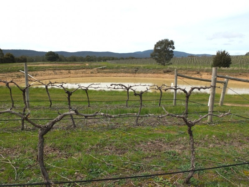 105 Riflebutts Road, Landsborough VIC 3384