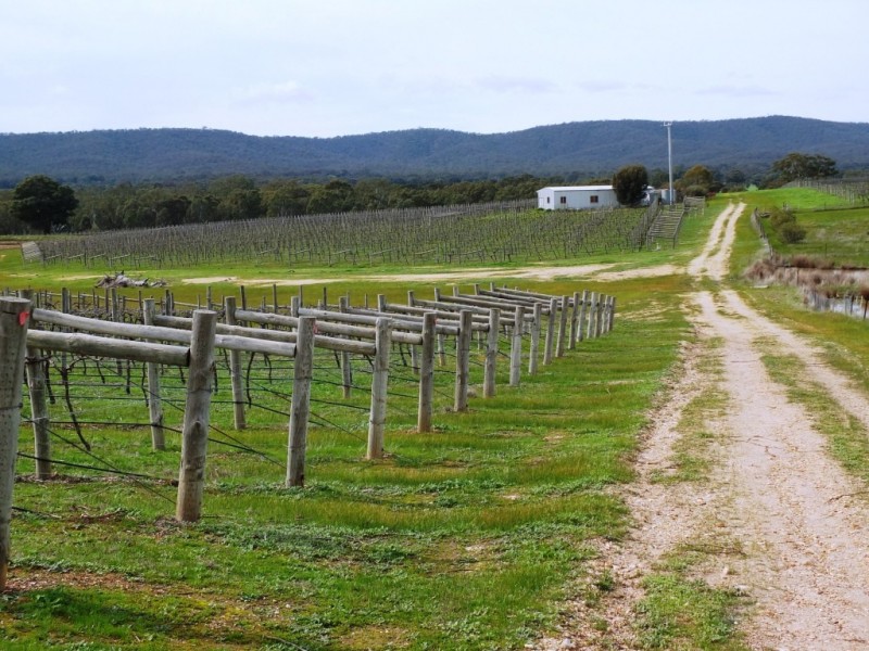 105 Riflebutts Road, Landsborough VIC 3384