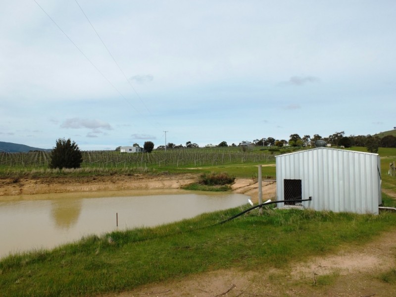 105 Riflebutts Road, Landsborough VIC 3384