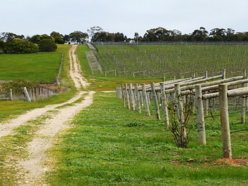 105 Riflebutts Road, Landsborough VIC 3384