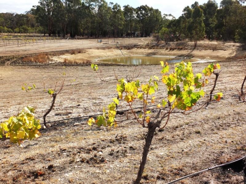 40 Meaghers Road, Moonambel VIC 3478