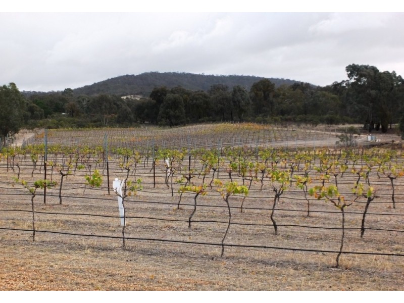 40 Meaghers Road, Moonambel VIC 3478