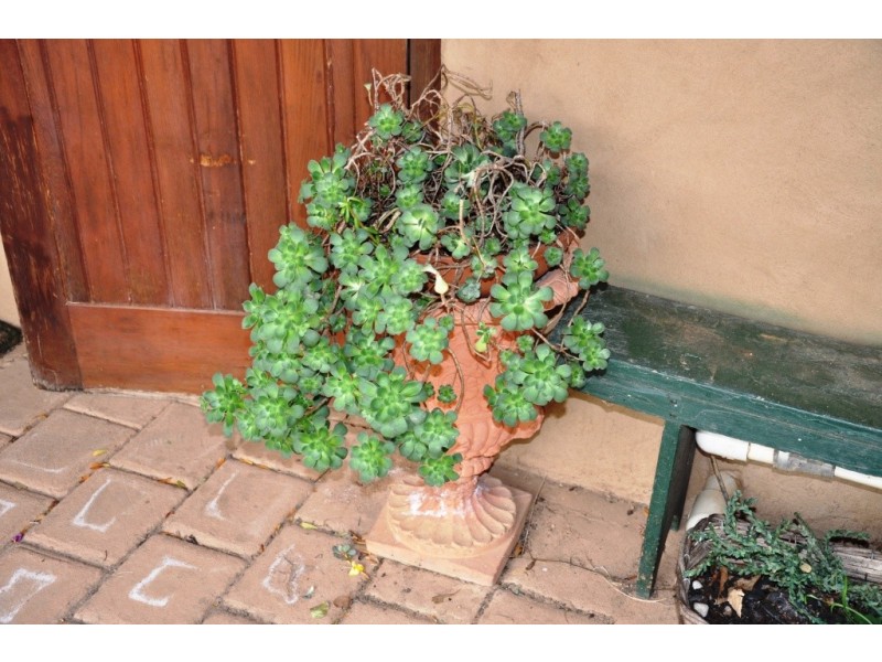 2/498 Caralulup Road, Avoca VIC 3467