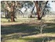 Lot 99 Number One Creek Road, Avoca VIC 3467