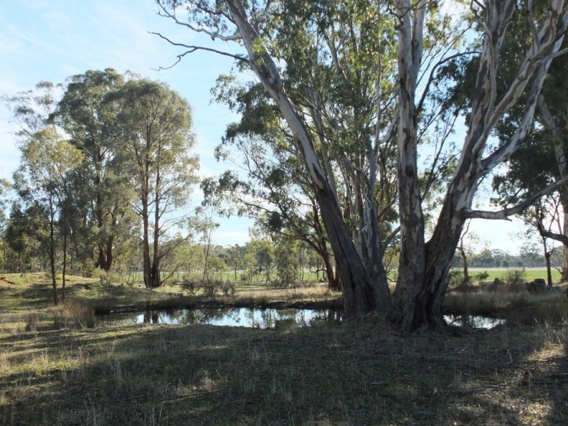 Lot 99 Number One Creek Road, Avoca VIC 3467
